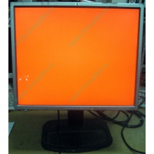 Монитор 19" TFT HP 1955 (DVI в Внуково, USB-хаб) "квадратный" (Внуково)