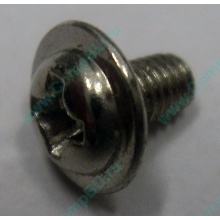 Компьютерный винт "малый" PW-M3x6mm (Внуково)