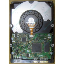HDD Sun 500G 500Gb в Внуково, FRU 540-7889-01 в Внуково, BASE 390-0383-04 в Внуково, AssyID 0069FMT-1010 в Внуково, HUA7250SBSUN500G (Внуково)