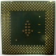 Процессор Intel Celeron 1000A SL5ZF (1000MHz /256kb /100MHz /1.475 V) s370 (Внуково)