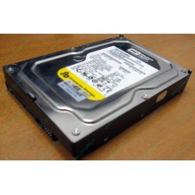 Жесткий диск 160Gb WD WD1602ABKS SATA (Внуково)