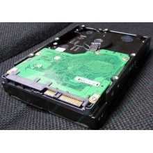 Жесткий диск 600Gb 15k Dell 9FN066-008 6G SAS ( Seagate Cheetach ST3600057SS 15K.7) - Внуково