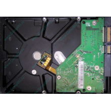 Б/У жёсткий диск 500Gb Western Digital WD5000AVVS (WD AV-GP 500 GB) 5400 rpm SATA (Внуково)