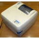 Термопринтер Datamax DMX-E-4203 (Внуково)
