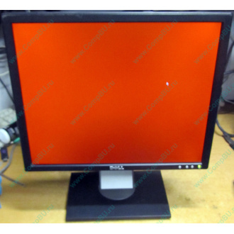 Dell E197F P в Внуково, монитор 19" TFT Dell E197FPb (Внуково)
