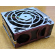 HP 224977 (224978-001) for Proliant ML370 G2/G3/G4 (Внуково).