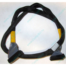 Кабель SCSI HP 166298-037 для HP ML370 G4 (Внуково)