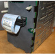 HP 365664-001 кабель SCSI для корзины 373108-001 / 359719-001 HP ML370G4 (Внуково)