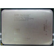 AMD Opteron 6128 OS6128WKT8EGO (Внуково)
