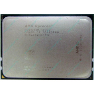 AMD Opteron 6128 OS6128WKT8EGO (Внуково)