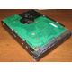 Жесткий диск 300Gb 15k Seagate Cheetach ST3300656SS 15K.6 Dell 9CH066-050 6G SAS (Внуково)